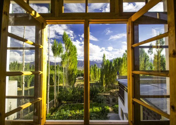 Cost of Wood Window Replacement in Gig Harbor