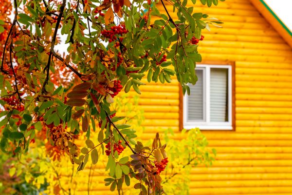 Cost of Garden Window Replacement in Gig Harbor